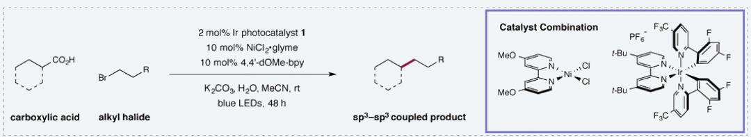 3-Carboxylic-acid-and-alkyl-halide-scope-in-the-dual-nickel-catalyzed-photoredox-sp3-sp3-coupling-reaction.jpg