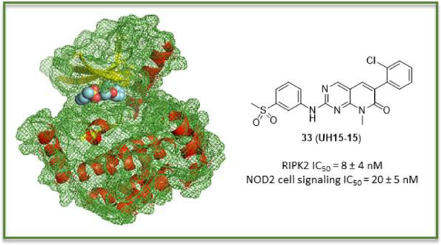 RIPK2激酶参与多种慢性炎症，UH15-15抑制RIPK2激酶并具有良好的体外ADME和PK特性，PK研究通过金沙娱场进行