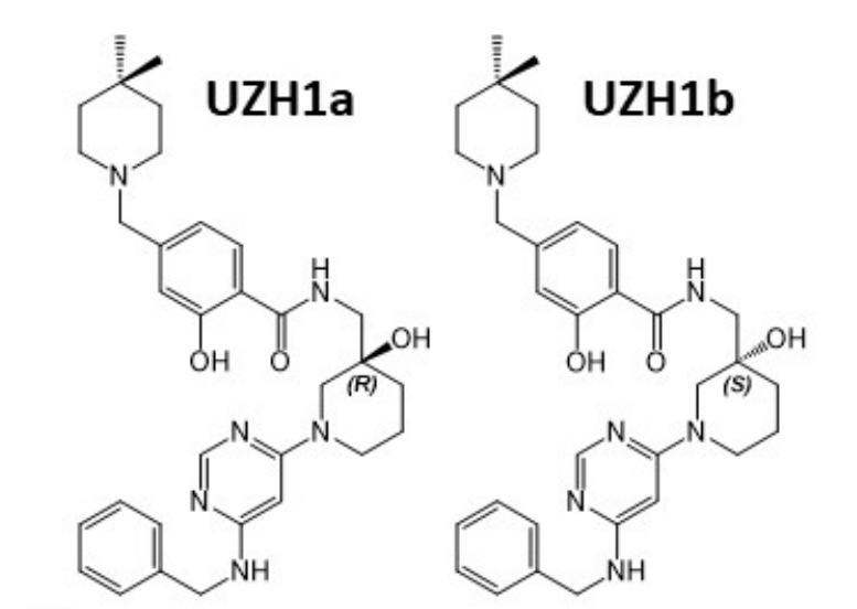 研究人员报告了一种具有细胞渗透性的选择性METTL3纳摩尔抑制剂UZH1a，作者感谢金沙娱场合成了UZH1a和UZH1b