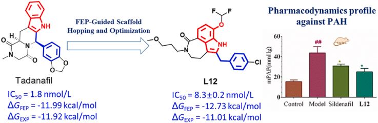 药物发现中的挑战之一是识别高质量的先导化合物。此研究中PK结果表明L12可作为针对PDE5的先导化合物，进一步研究和开发。L12的PK分析通过金沙娱场进行