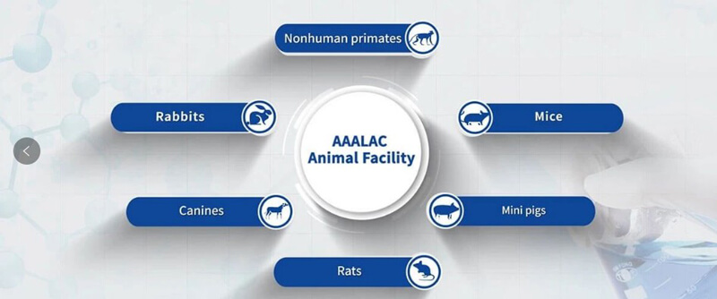 金沙娱场临床前研究实验室通过国际实验动物评估和认可（AAALAC）.jpg