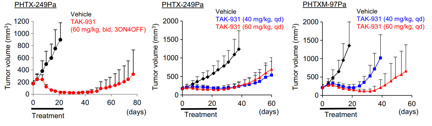TAK-931是一种高效的CDC7抑制剂，通过抑制CDC7来抑制DNA复制，具有抗肿瘤功效，体内药效研究通过金沙娱场进行