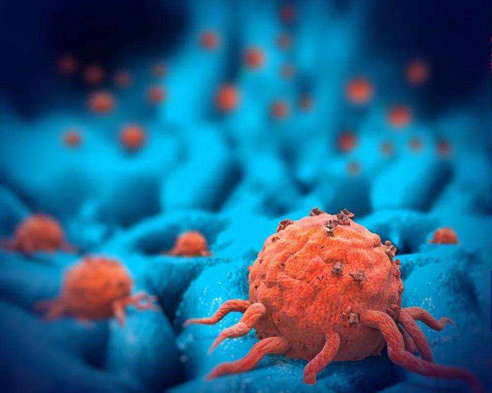 金沙娱场助力 | 力鑫生物研发的靶向抗肿瘤新药LX-132胶囊成功获得一类新药临床批件